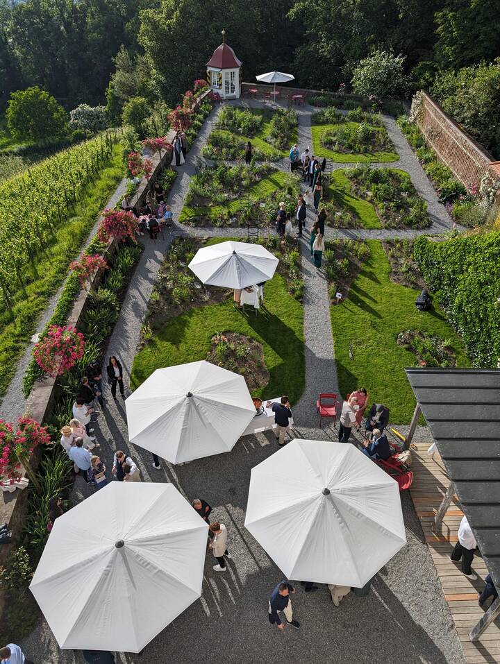 Apéro im Rosengarten von Schloss Heidegg